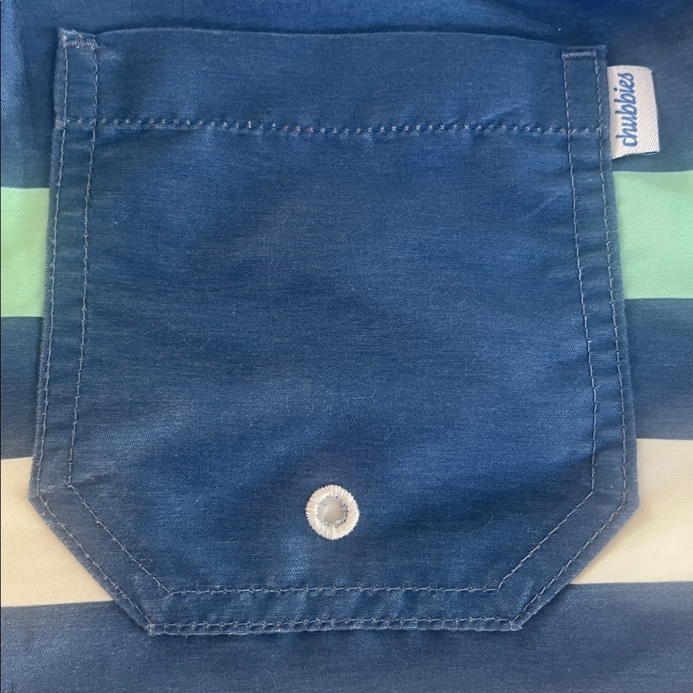 CHUBBIES -QUICK DRY multiple stripes, swim trunks - Picture 7 of 11
